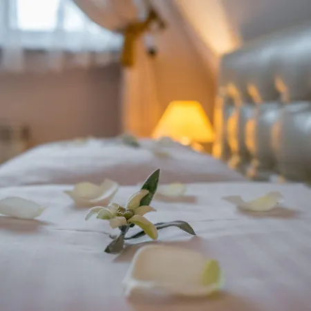 Nocleg ze śniadaniem Regina I & 3*